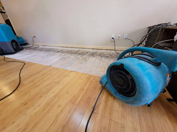 Professional Burst Pipe Water Damage technician working in Sherman, MS